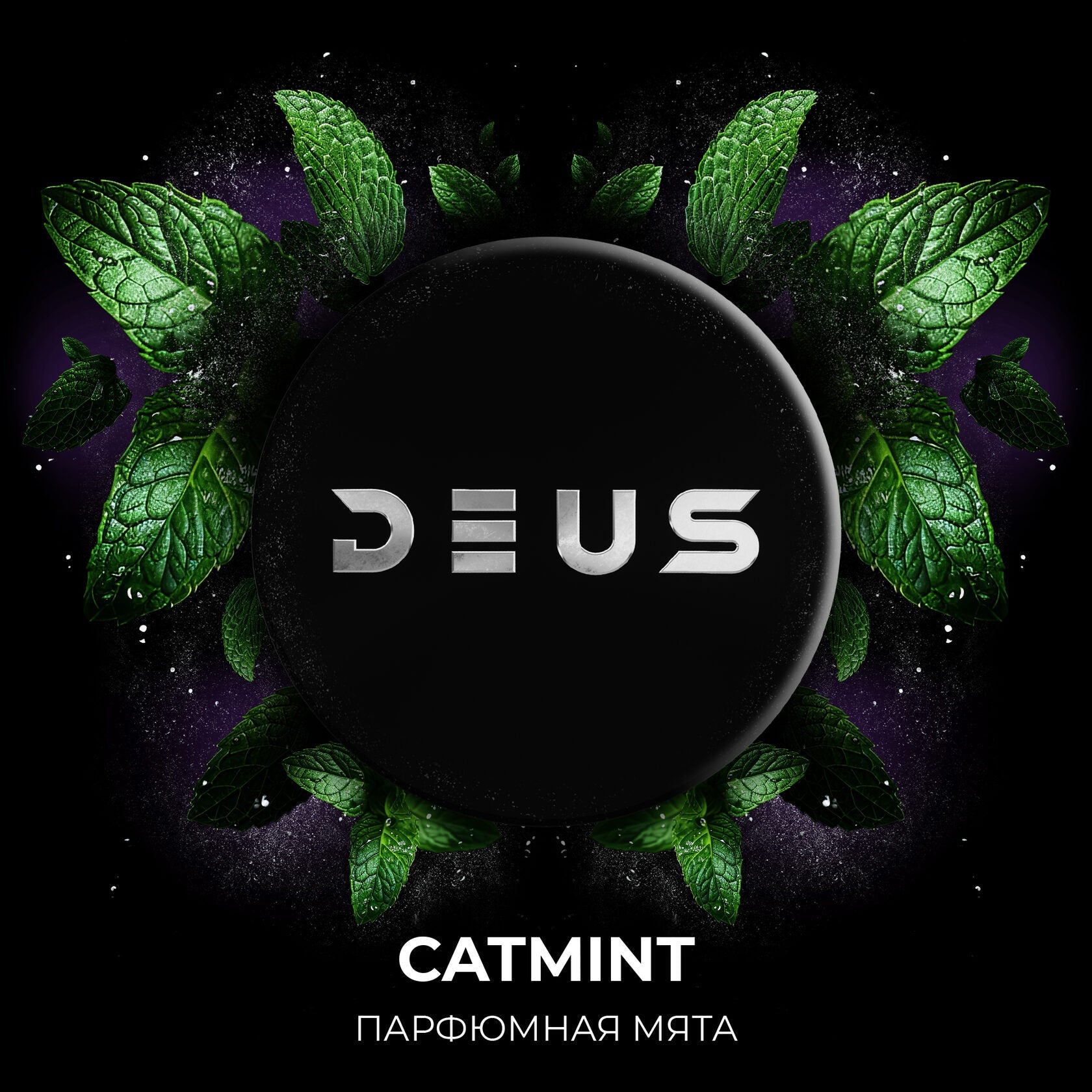Catmint