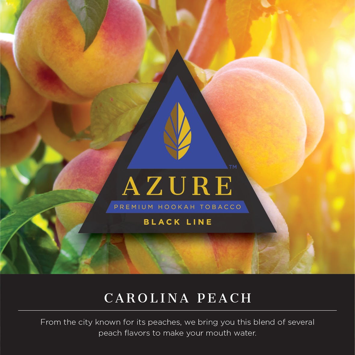 Azure Dark 250g Tobacco