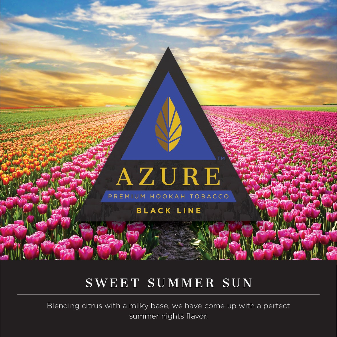 Azure Dark 250g Tobacco