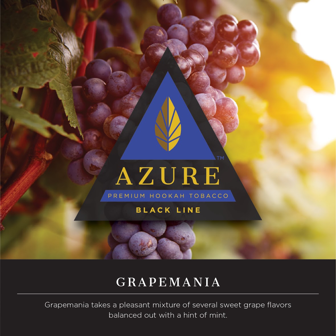 Azure Dark 100g Tobacco
