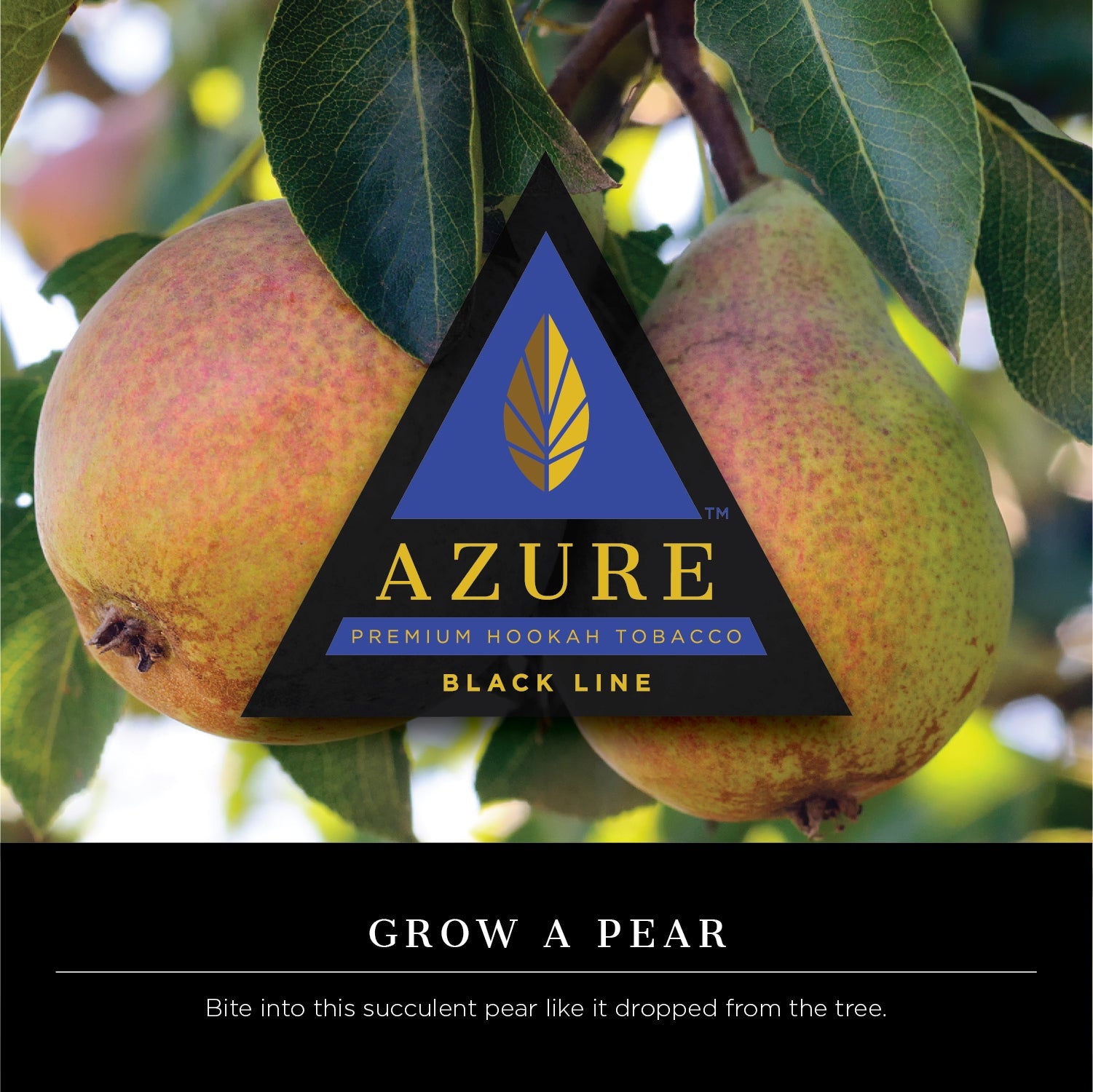 Azure Dark 100g Tobacco