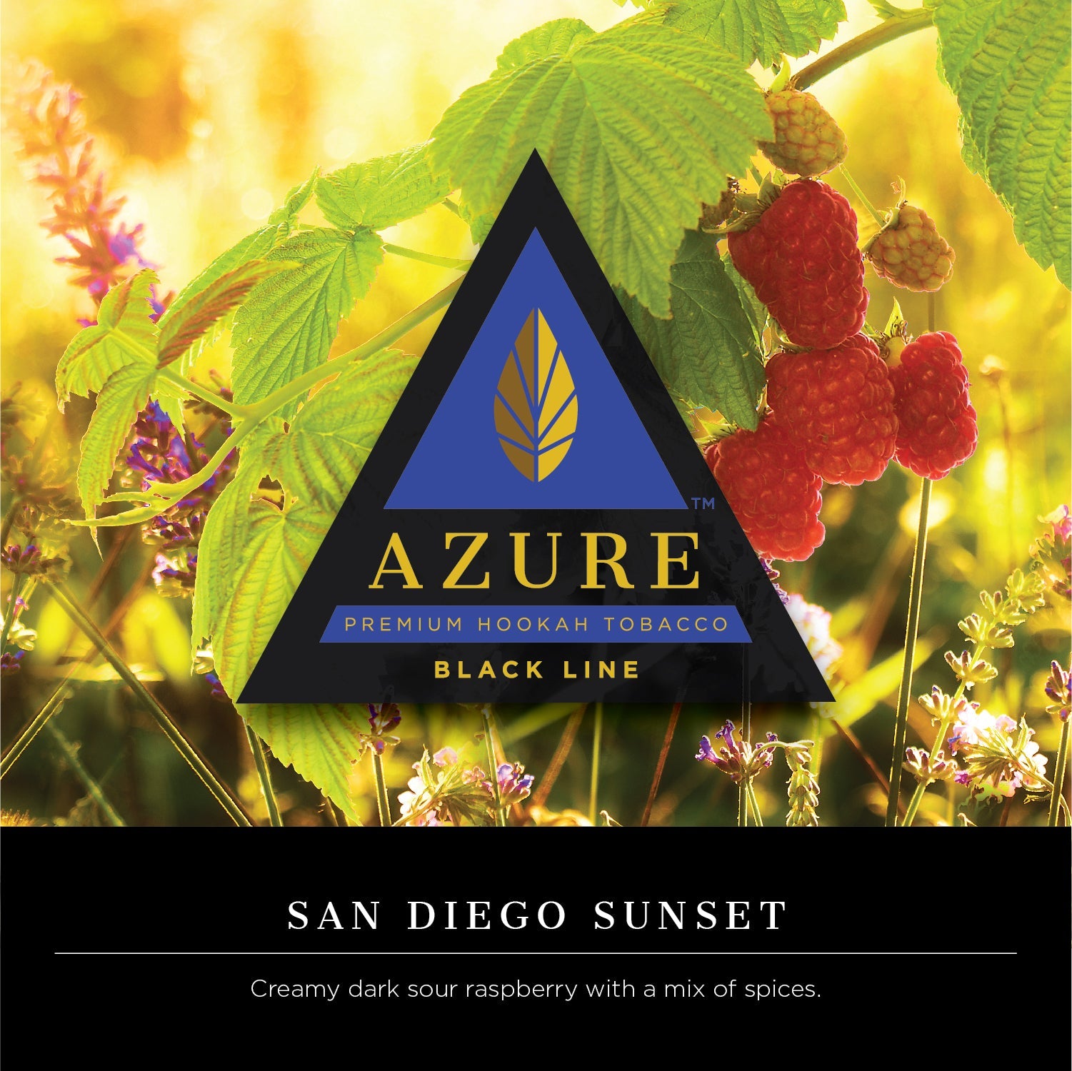 Azure Dark 100g Tobacco